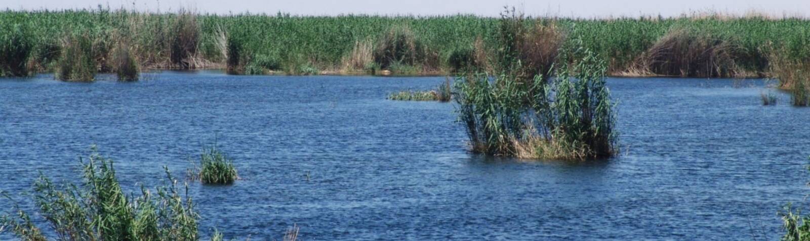 Marismas de Howeizeh (Hur al-Azim)